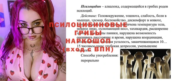 прущая мука Армянск