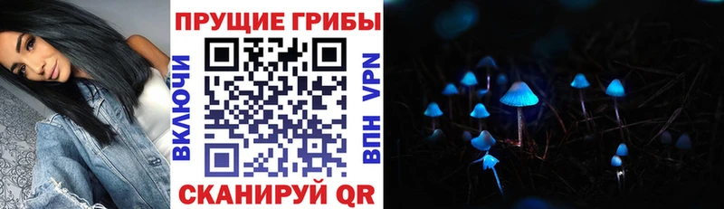 Псилоцибиновые грибы MAGIC MUSHROOMS  mega сайт  Кирово-Чепецк 